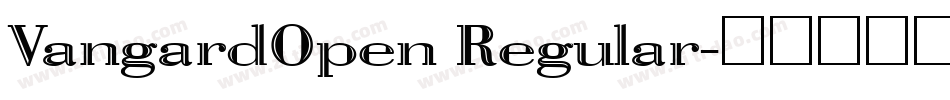 VangardOpen Regular字体转换